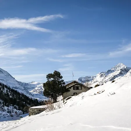 Orman Evi Mountain Ze Seewjinu - Above *